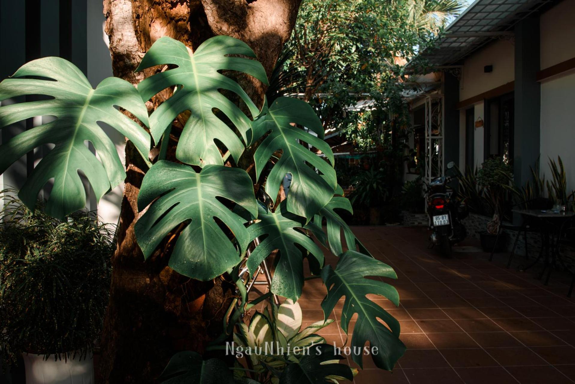 Ngaunhien'S House - Homestay Phan Rang Eksteriør billede